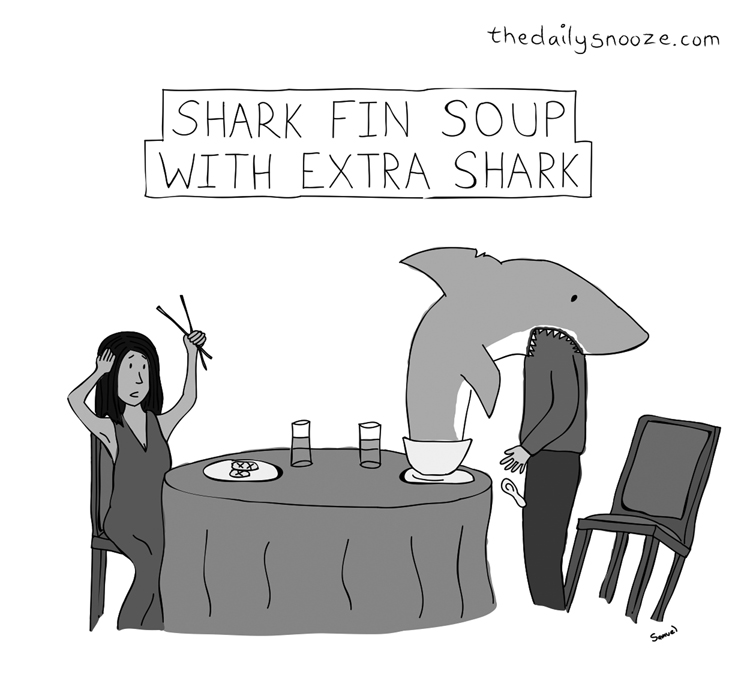Shark fin soup with extra shark
